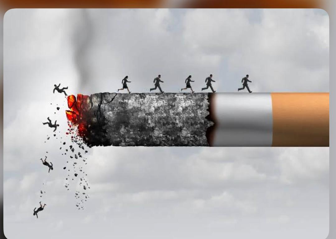 Commerce du tabac : ‎La RDC renforce sa lutte contre le trafic illicite