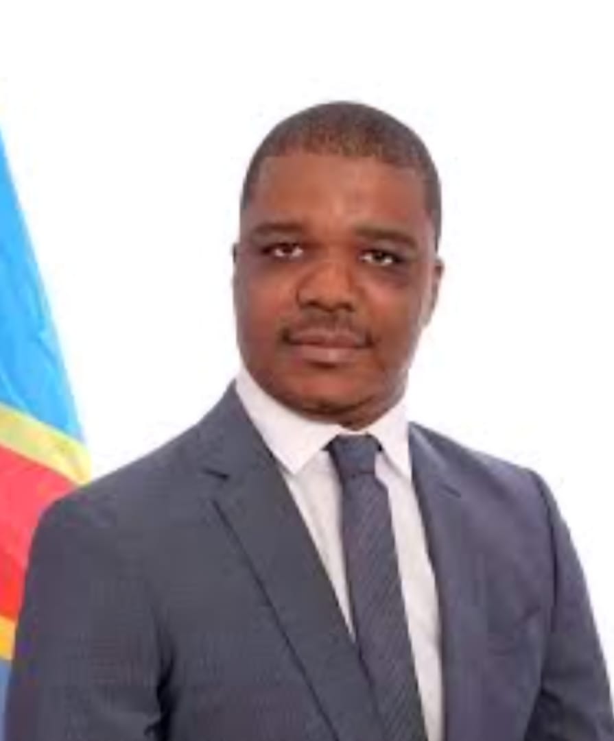 ARSP : Ted Beleshayi, un profil économique pour consolider la politique du contenu local