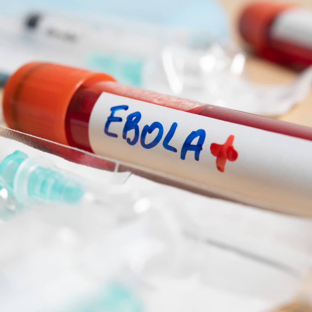 Ebola : l’OMS alerte sur une épidémie qui prend de l’avance